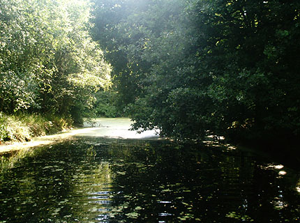 Die Gracht